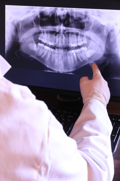 Best Emergency X-Rays and Diagnostics in Lake Vla, IL